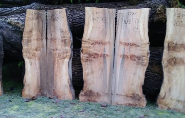 Cotton wood slabs