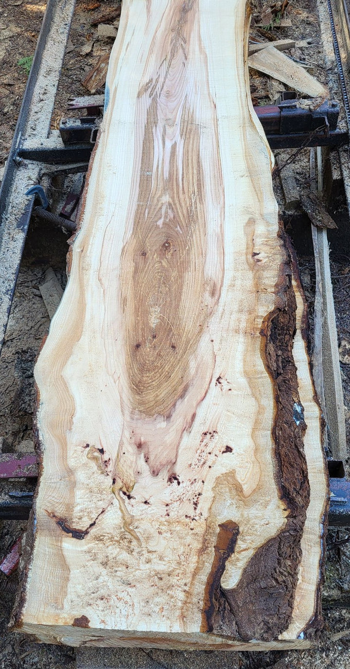 Maple Slab