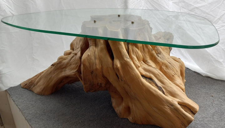 Glass Top Coffee Table with Pacific Yew Base