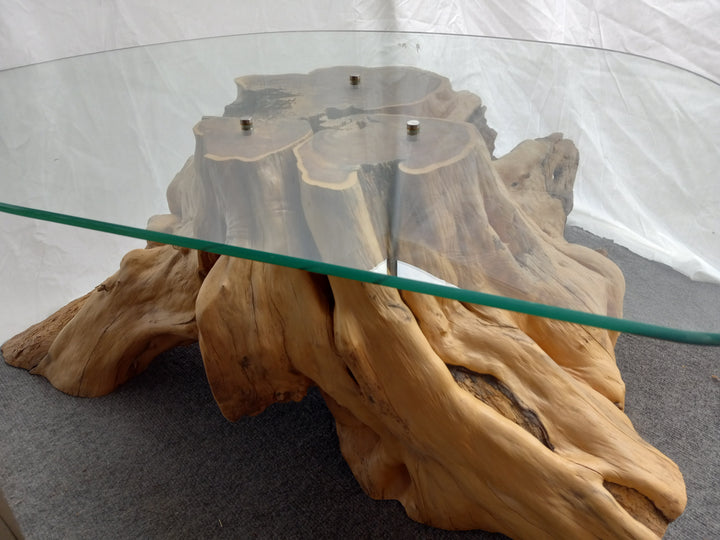 Glass Top Coffee Table with Pacific Yew Base